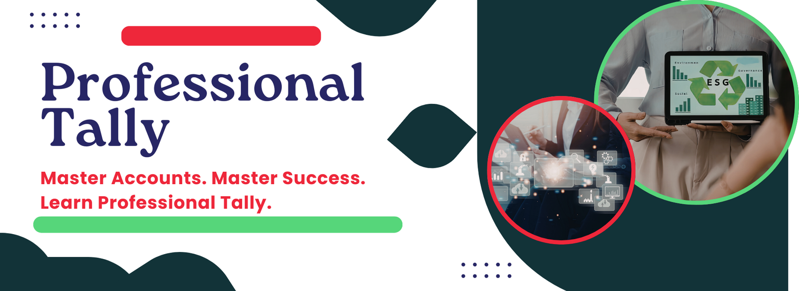 Professional Tally 3